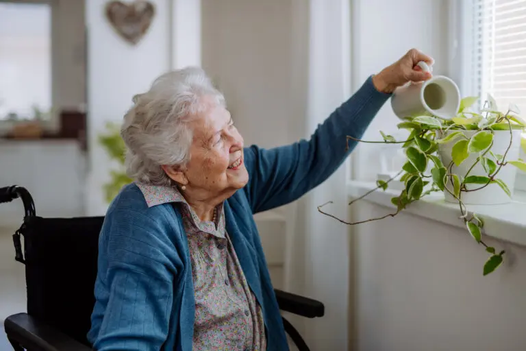 Elderly woman in a wheelchair watering a houseplant